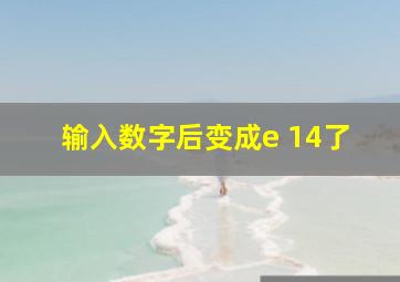 输入数字后变成e 14了